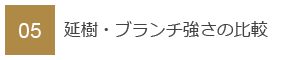 05　延樹・ブランチ強さの比較